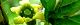 120407-yabukanzasi-s.jpg(1581 byte)