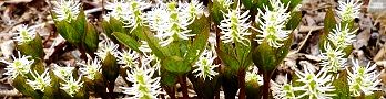 120410-hitorisizuka.jpg(18180 byte)