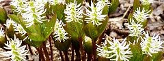 120410-hitorisizuka2.jpg(12478 byte)