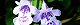 120424-kakitosi-s.jpg(1681 byte)