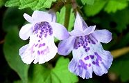 120424-kakitosi.jpg(7756 byte)