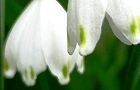 四季が丘。'12.04.21.