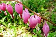 120428-taituri.jpg(9741 byte)