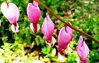 120428-taituri2.jpg(6978 byte)