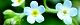 120507-mizutabira-s.jpg(1692 byte)