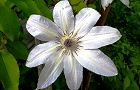 120514-kurematisu2.jpg(5268 byte)