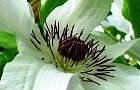 120514-kurematisu3.jpg(5409 byte)