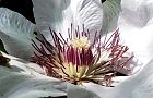 120514-kurematisu4.jpg(5486 byte)