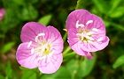 120517-yugesyo.jpg(4753 byte)