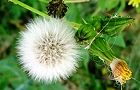120524-nogesi.jpg(5336 byte)