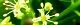 120604-niwaurusi-s.jpg(1710 byte)