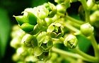 120605-gonzui2.jpg(5404 byte)
