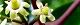 120607-kurogane-s.jpg(1695 byte)