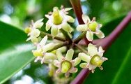 120607-kurogane.jpg(7545 byte)