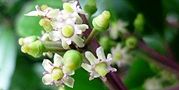 120612-kurogane.jpg(5509 byte)