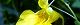 120920-kituribune-s.jpg(1575 byte)