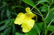120920-kituribune.jpg(6950 byte)