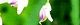 120920-nusubito-s.jpg(1396 byte)
