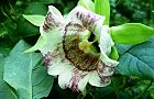 120920-turuninjin3.jpg(6013 byte)