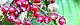 121013-gamazumi-s.jpg(1897 byte)