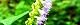 121022-naginata-s.jpg(1664 byte)