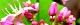 121030-takane-soba-s.jpg(1680 byte)