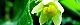 121108-hayatouri-s.jpg(1572 byte)