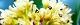 121110-sirodamo-s.jpg(1706 byte)