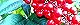121206-nanten-s.jpg(2048 byte)