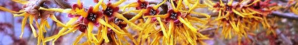 130304-mansaku-m2.jpg(21647 byte)