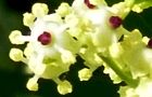 130404-niwatoko.jpg(4892 byte)