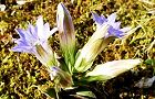 130416-huderindou.jpg(8179 byte)