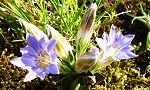 130416-huderindou2.jpg(8456 byte)