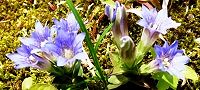 130416-huderindou3.jpg(11099 byte)