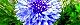 130424-yaguruma-s.jpg(1949 byte)