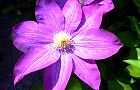 130426-kazeguruma.jpg(5427 byte)