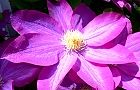 130426-kazeguruma3.jpg(5591 byte)