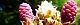 130427-matu-s.jpg(1801 byte)