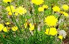 130522-butana4.jpg(7745 byte)