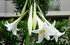 130815-takasago.jpg(6529 byte)