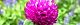 130824-sennitiko-s.jpg(1704 byte)
