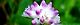 131003-mizosoba-s.jpg(1510 byte)