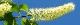 090423-uwamizu2.jpg(1485 byte)