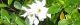 090624-kutinasi.jpg(1667 byte)