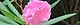 090810-kyoutikutou.jpg(1672 byte)
