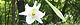 090813-takasago-yuri.jpg(1775 byte)