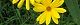 090904-inukiku.jpg(1680 byte)