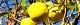 091115-karin.jpg(1931 byte)