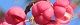 091219-mayumi.jpg(1516 byte)