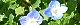 100311-ooinunohuguri.jpg(1863 byte)